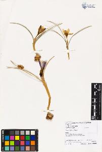 SW_BNB_s3070-02132_IMG-0000000001