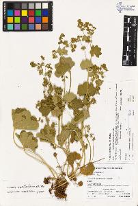 SW_BNB_s3070-02139_IMG-0000000001