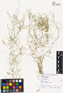 SW_BNB_s3070-02140_IMG-0000000001