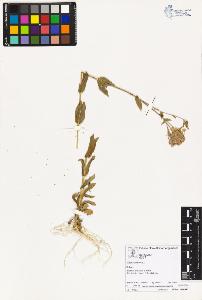 SW_BNB_s3070-02146_IMG-0000000001