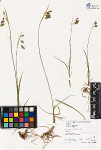 SW_BNB_s3070-02148_IMG-0000000001