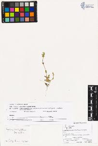 SW_BNB_s3070-02154_IMG-0000000001