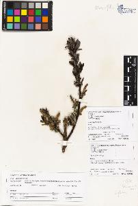 SW_BNB_s3070-02158_IMG-0000000001