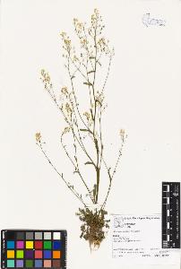 SW_BNB_s3070-02164_IMG-0000000001