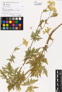 SW_BNB_s3070-02172_IMG-0000000001