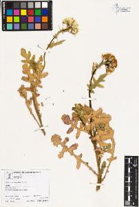 SW_BNB_s3070-02177_IMG-0000000001