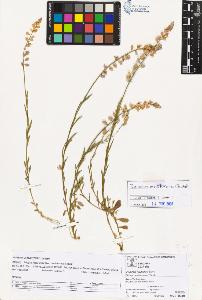 SW_BNB_s3070-02185_IMG-0000000001