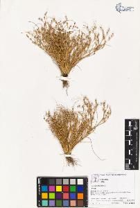 SW_BNB_s3070-02187_IMG-0000000001