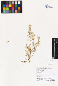 SW_BNB_s3070-02188_IMG-0000000001