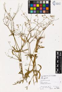 SW_BNB_s3070-02190_IMG-0000000001