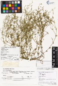 SW_BNB_s3070-02191_IMG-0000000001