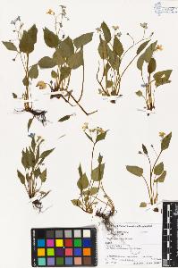 SW_BNB_s3070-02192_IMG-0000000001