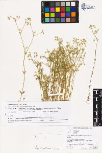 SW_BNB_s3070-02193_IMG-0000000001