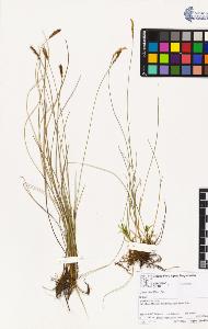 SW_BNB_s3070-02194_IMG-0000000001