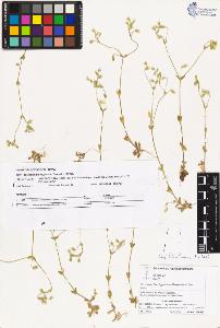 SW_BNB_s3070-02195_IMG-0000000001