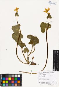 SW_BNB_s3070-02197_IMG-0000000001