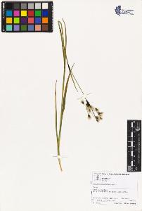 SW_BNB_s3070-02199_IMG-0000000001