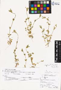 SW_BNB_s3070-02201_IMG-0000000001