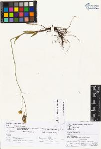 SW_BNB_s3070-02202_IMG-0000000001