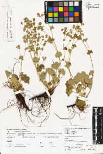 SW_BNB_s3070-02205_IMG-0000000001