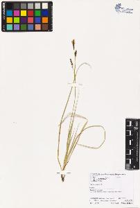 SW_BNB_s3070-02206_IMG-0000000001