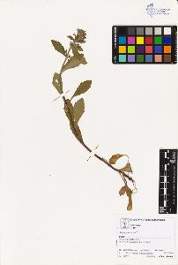 SW_BNB_s3070-02211_IMG-0000000001