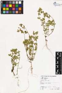 SW_BNB_s3070-02213_IMG-0000000001