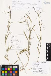 SW_BNB_s3070-02214_IMG-0000000001