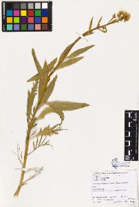 SW_BNB_s3070-02221_IMG-0000000001
