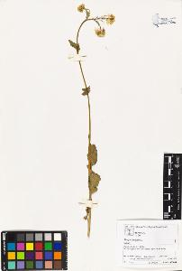 SW_BNB_s3070-02223_IMG-0000000001