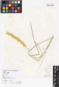 SW_BNB_s3070-02231_IMG-0000000001