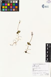 SW_BNB_s3070-02232_IMG-0000000001