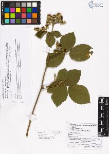 SW_BNB_s3070-02234_IMG-0000000001