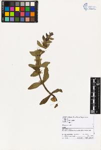 SW_BNB_s3070-02235_IMG-0000000001