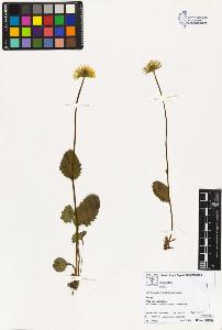 SW_BNB_s3070-02238_IMG-0000000001