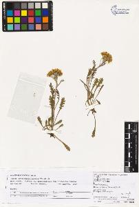 SW_BNB_s3070-02239_IMG-0000000001