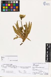 SW_BNB_s3070-02242_IMG-0000000001