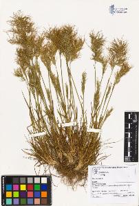 SW_BNB_s3070-02254_IMG-0000000001