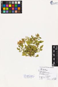SW_BNB_s3070-02257_IMG-0000000001