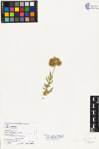 SW_BNB_s3070-02258_IMG-0000000001