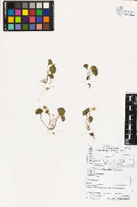SW_BNB_s3070-02260_IMG-0000000001