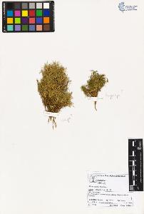 SW_BNB_s3070-02261_IMG-0000000001