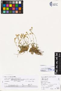 SW_BNB_s3070-02262_IMG-0000000001
