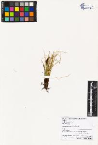 SW_BNB_s3070-02265_IMG-0000000001