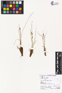 SW_BNB_s3070-02268_IMG-0000000001