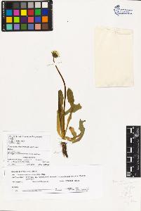 SW_BNB_s3070-02274_IMG-0000000001