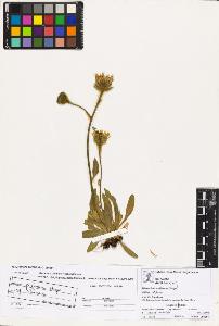 SW_BNB_s3070-02275_IMG-0000000001
