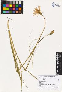 SW_BNB_s3070-02283_IMG-0000000001