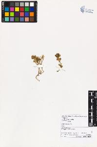 SW_BNB_s3070-02288_IMG-0000000001