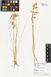 SW_BNB_s3070-02291_IMG-0000000001
